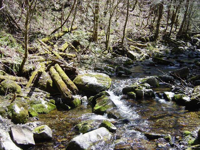 �ؑ]�X�ѓS��,�ѓS,�p����,���ґ��ƋO��,��3������,�؋�