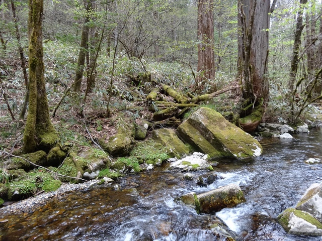 �ؑ]�X�ѓS��,�ѓS,�p����,���ґ��ƋO��,��3������,�P��,����c�я�