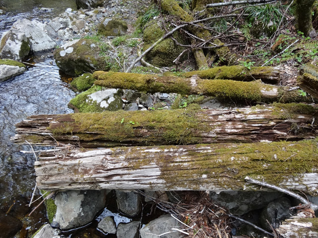 �ؑ]�X�ѓS��,�ѓS,�p����,���ґ��ƋO��,��3������,�؋�,�c�[