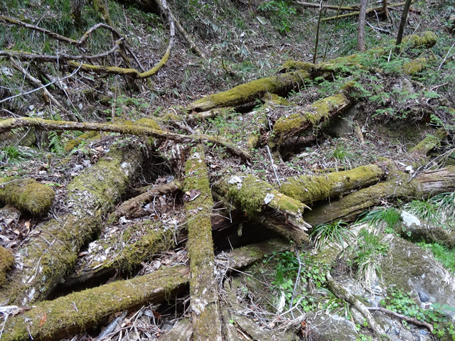 �ؑ]�X�ѓS��,�ѓS,�p����,���ґ��ƋO��,�V��,�؋�,�c�[