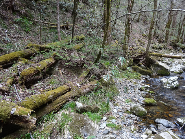 �ؑ]�X�ѓS��,�ѓS,�p����,���ґ��ƋO��,�V��,�؋�,�c�[