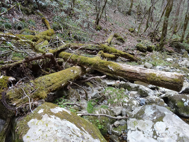 �ؑ]�X�ѓS��,�ѓS,�p����,���ґ��Ɛ�,�V��,�؍މ^���O����,�c�[