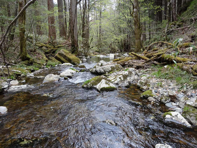 �ؑ]�X�ѓS��,�ѓS,�p����,���ґ��Ɛ�,�V��,�؍މ^���O����,�k�s