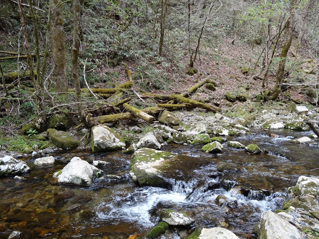 �ؑ]�X�ѓS��,�ѓS,�p����,���ґ��Ɛ�,�V��,�؍މ^���O����,���ꑺ