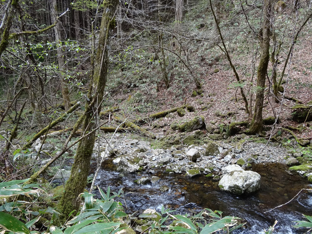 �ؑ]�X�ѓS��,�ѓS,�p����,���ґ��Ɛ�,�V��,�؍މ^���O����,��4������