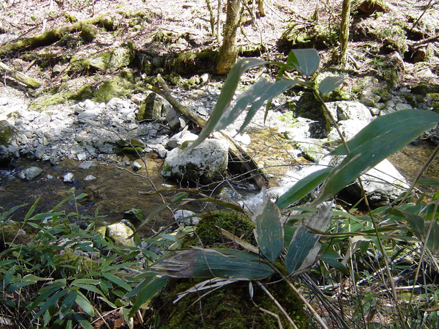 �ؑ]�X�ѓS��,�ѓS,�p����,���ґ��Ɛ�,�V��,�؍މ^���O����,��4������