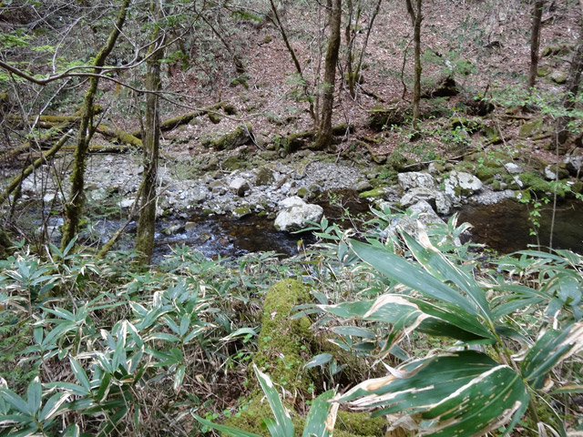 �ؑ]�X�ѓS��,�ѓS,�p����,���ґ��Ɛ�,��4������,�i���[�O����,�V��