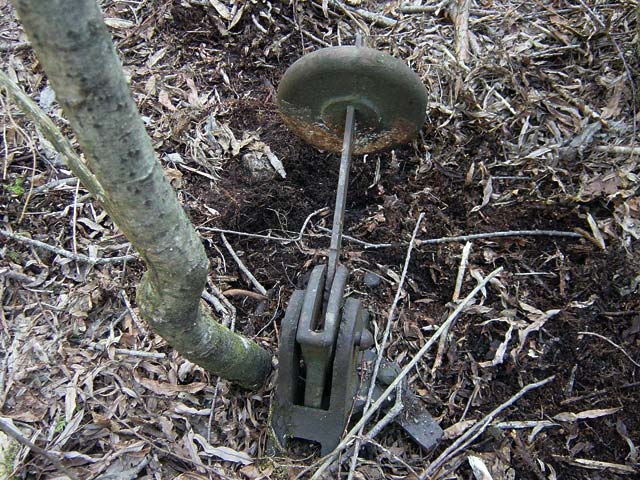 �����X�ѓS��,������ԏ�,�ѓS,����,�p����,�]�Q�@,�_���}