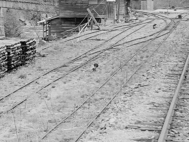 �����X�ѓS��,������ԏ�,�ѓS,����,�p����,�]�Q�@,�_���}