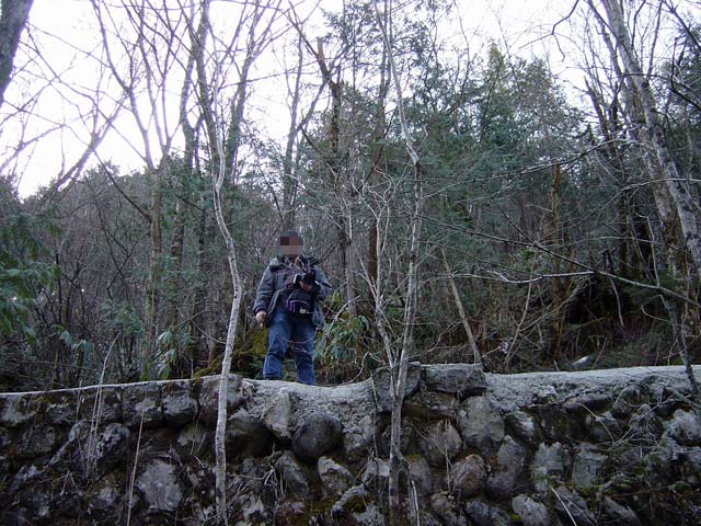 ������ԏ�,�����X�ыO��,�p����,��������X�ѓS��