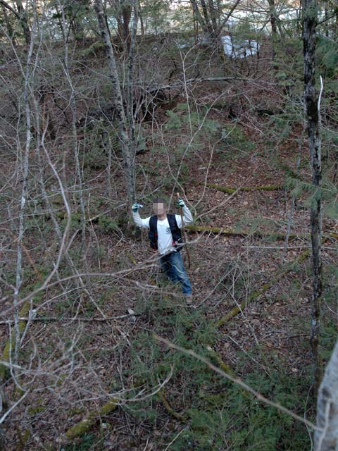 ������ԏ�,�����X�ыO��,�p����,��������X�ѓS��