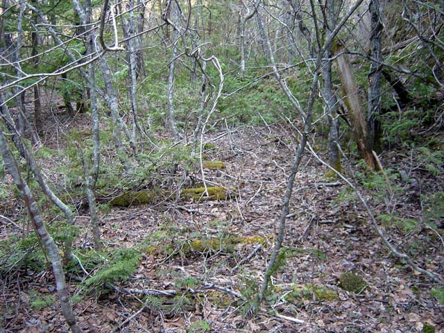 ������ԏ�,�����X�ѓS��,�p����,�ѓS