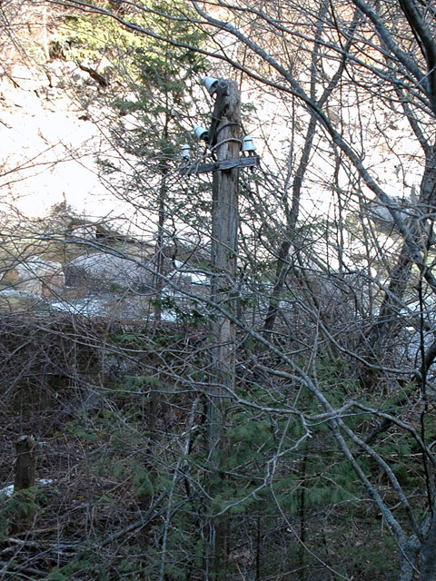 ������ԏ�,�����X�ѓS��,�p����,�ʐM��,�ѓS