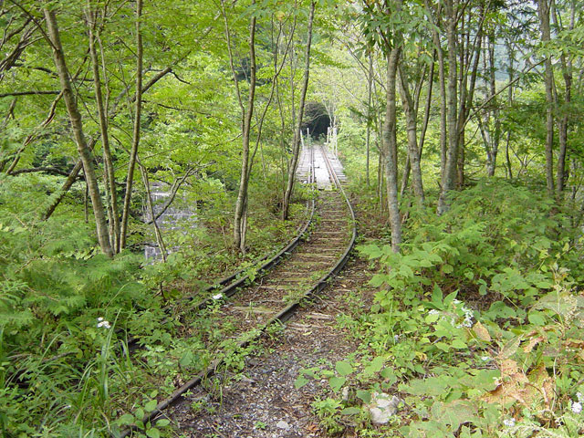 �����X�ѓS��,�ؑ]�X,�ѓS,�p����,���[���c��,���H