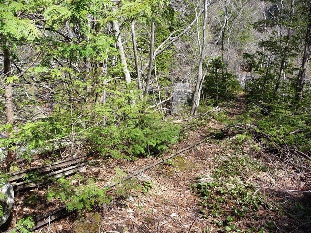 �����X�ѓS��,�ؑ]�X,�ѓS,�p����,���[���c��,���H