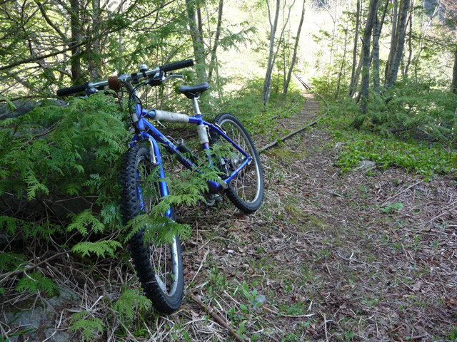 �����X�ѓS��,�ؑ]�X,�ѓS,�p����,���[���c��,���H