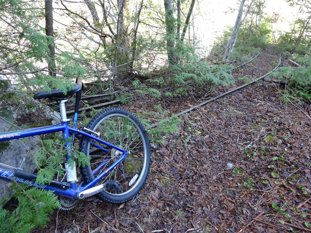 �����X�ѓS��,�ؑ]�X,�ѓS,�p����,���[���c��,���H