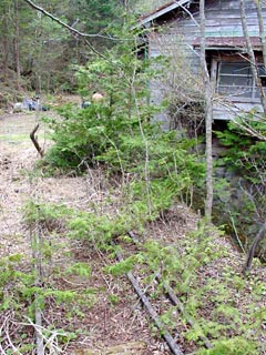 �����X�ѓS��,�ؑ]�X,�ѓS,�p����,���[���c��,���H