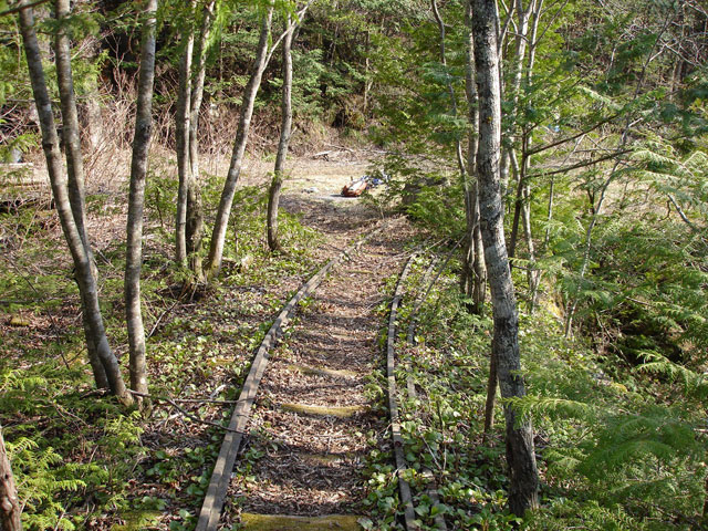 �����X�ѓS��,�ؑ]�X,�ѓS,�p����,���[���c��,���H