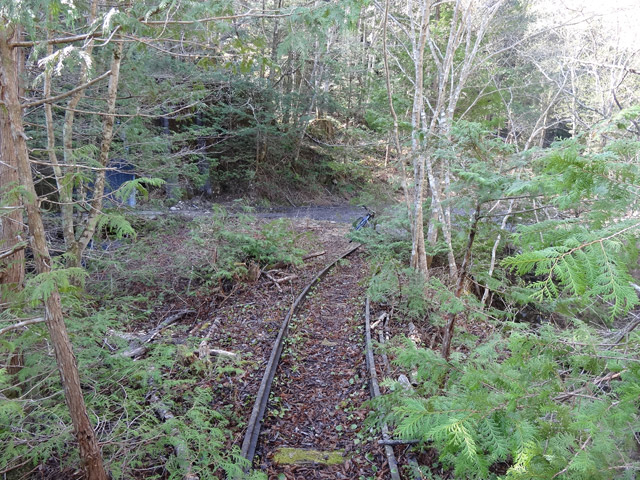 �����X�ѓS��,�ؑ]�X,�ѓS,�p����,���[���c��,���H