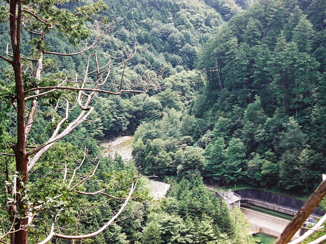 �����X�ыO��.�������싴��,�����S��,�ѓS,�X�ѓS��,�p����