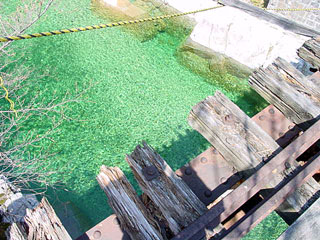 �ؑ]�X�ѓS��������,�������싴��,�����S��,�ѓS,�p����