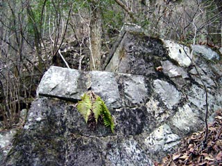 �ؑ]�X�ѓS��������,�������싴��,�����S��,�ѓS,�p����