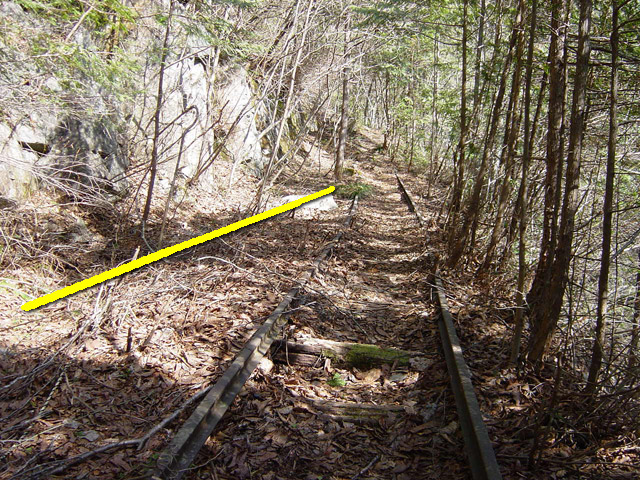 �����X�ыO���u�������싴���[�����򋴗��v