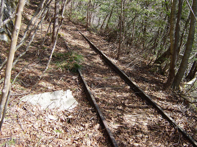 �����X�ыO���u�������싴���[�����򋴗��v