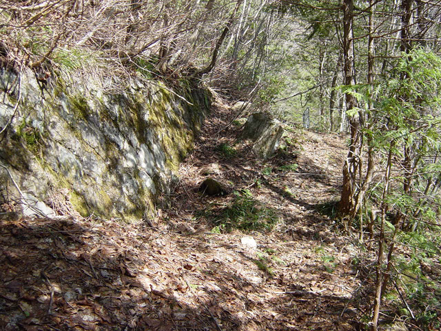 �����X�ыO���u�������싴���[�����򋴗��v