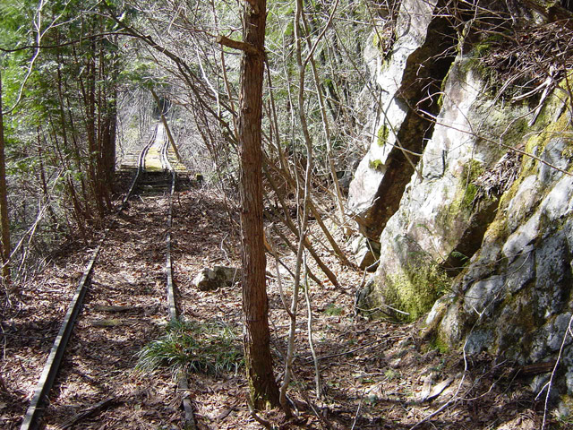 �����X�ыO���u�������싴���[�����򋴗��v