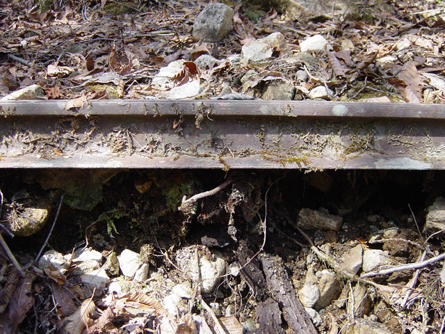 �����ѓS,�X�ѓS��,�p����