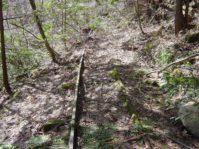 �����X�ѓS��,�ѓS,�p����,���[��