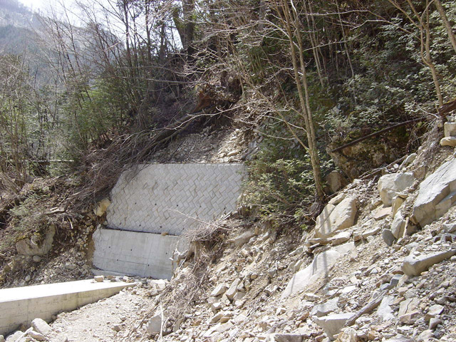 �����O��,�X�ѓS��,�p����,�����򋴗�,�ѓS