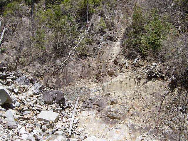 �����X�ѓS��,�����򋴗�,�p����,���[��,�ѓS