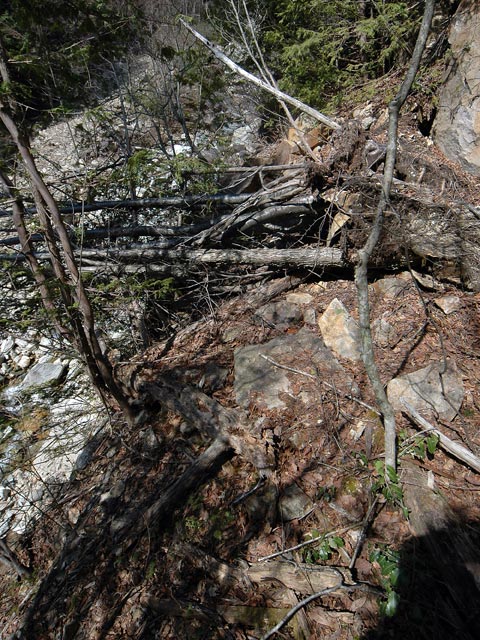 �����X�ѓS��,�����򋴗�,�p����,���[��,�ѓS