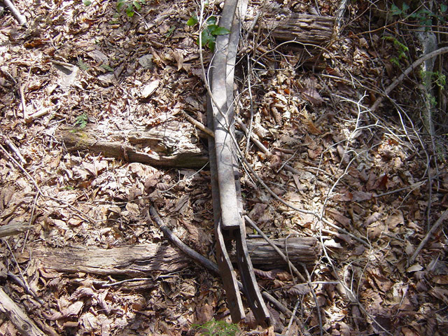 �����X�ѓS��,������,�p����,���[��,�ѓS