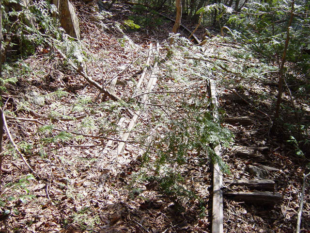 �����X�ѓS��,������,�p����,���[��,�ѓS