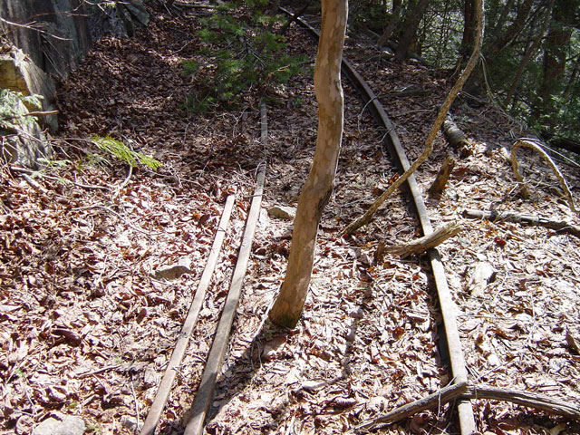 �����X�ѓS��,������,�p����,���[��,�ѓS