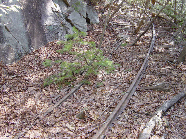 �����X�ѓS��,������,�p����,���[��,�ѓS