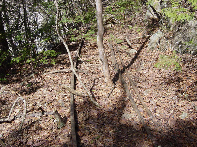 �����X�ѓS��,������,�p����,���[��,�ѓS