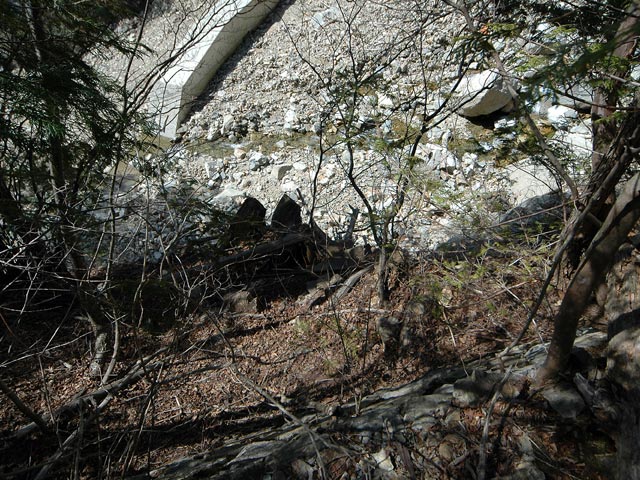 �����X�ѓS��,������,�p����,���[��,�ѓS