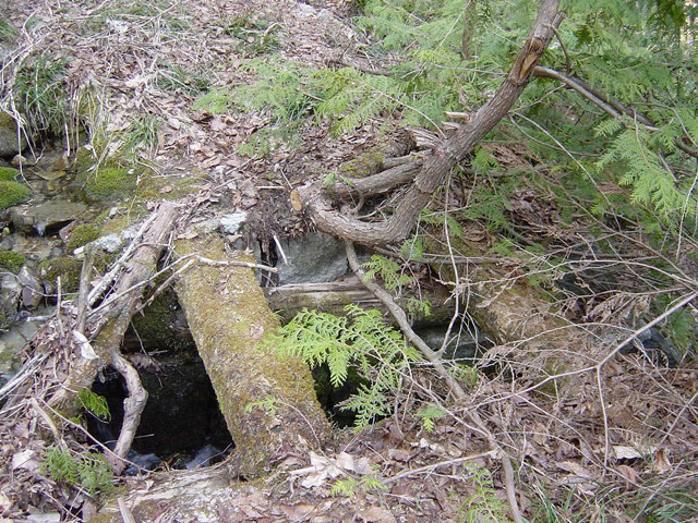 �ؑ]�X�ѓS��,�����X�ыO��,�ѓS,�p����,�؋�