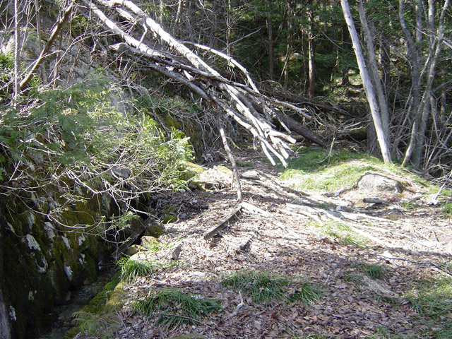 �ؑ]�X�ѓS��,�����X�ыO��,�ѓS,�p����