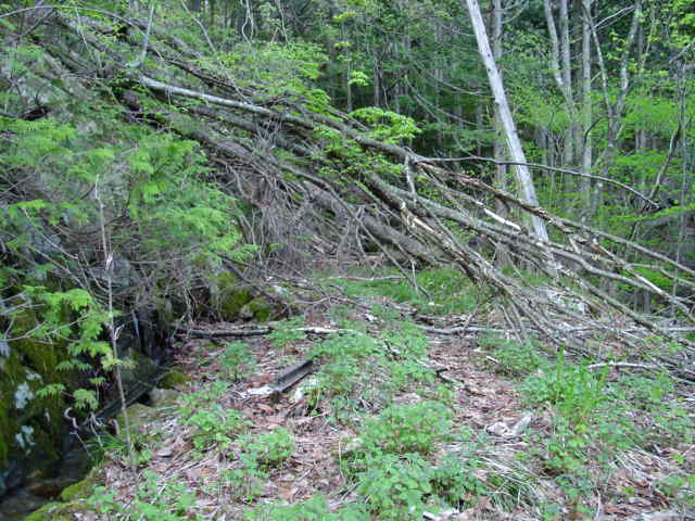 �ؑ]�X�ѓS��,�����X�ыO��,�ѓS,�p����,�؋�