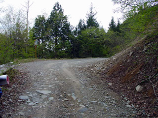 �����X�ѓS��,�ѓS,�p����,�ؑ]�X,�X���������ѓ�