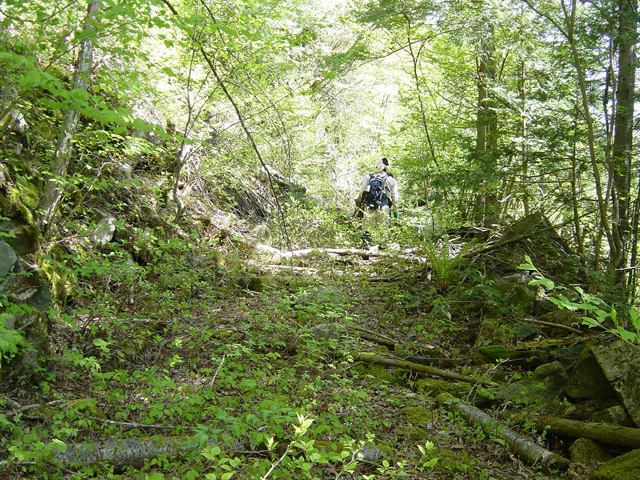 �����X�ѓS��,�ѓS,�p����,�ؑ]�X,�H��,����