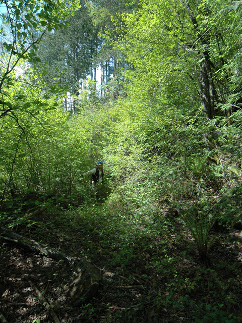 �����X�ѓS��,�ѓS,�p����,�ؑ]�X,��ؒn��,����