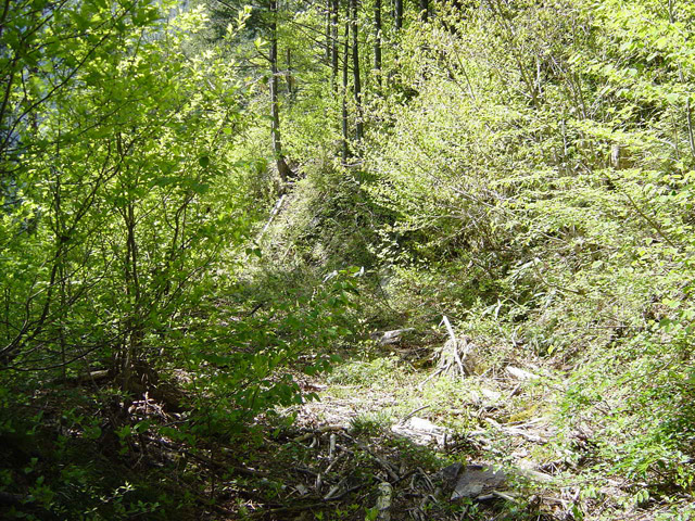 �����X�ѓS��,�ѓS,�p����,�ؑ]�X,�H��,����