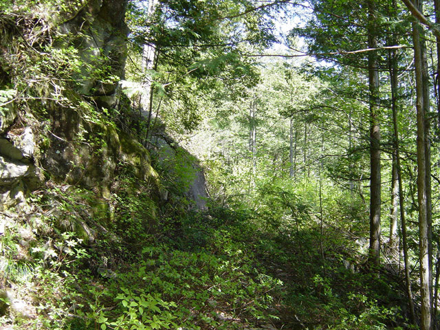 �����X�ѓS��,�ѓS,�p����,�ؑ]�X,�H��,����